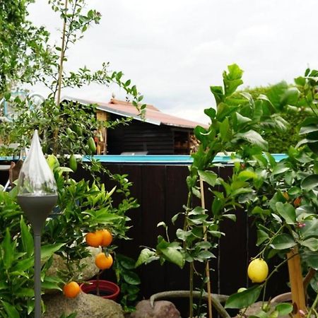 Pension Limone Ferienwohnung 1 Neu Lindenberg Luaran gambar